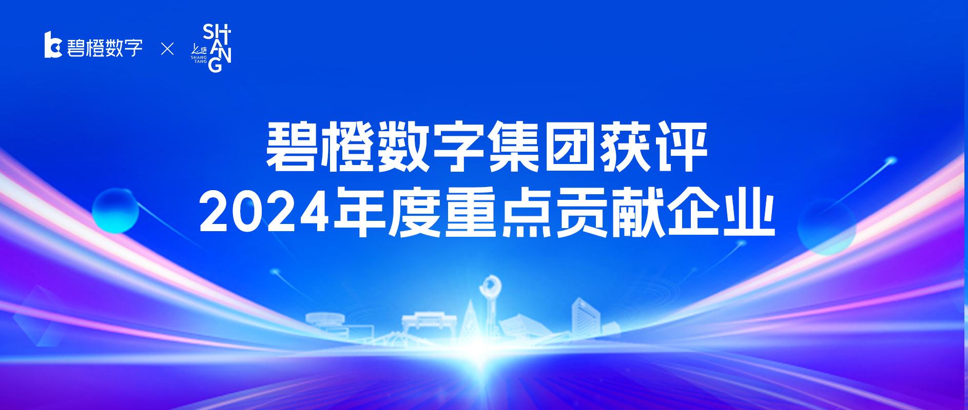 向新提质 | 碧橙数字集团荣膺2024年度重点贡献企业！